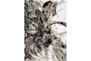 Boston P841A WHITE-VIZON Area Rug